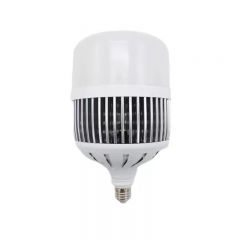 锦图（JINTU）  经典球泡螺口 LED球泡/100W/个