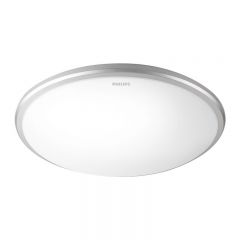 飞利浦（PHILIPS） LED悦远吸顶灯17w 冷光6500k 银灰色 吸顶安装 915005829001 适用于办公 工业 学校 居家