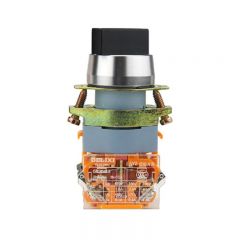 德力西电气（DELIXI ELECTRIC） 按钮开关；LAY8-11XS 绿 三位置