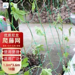 九千谷  J0222  植物爬藤网豆角蔬菜瓜类尼龙网支架网园艺 1.8m*3.6m18股
