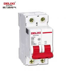 德力西电气（DELIXI ELECTRIC） 空气开关 小型断路器 DZ47s C型 2P 25A DZ47SN2C25