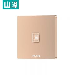 山泽（SAMZHE） XMB-J01 电脑插座网口网络面板 适用电话信息模块 通用超五/六/七类模块加厚86型面板 单口 金色