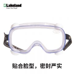 雷克兰（Lakeland）安全护目镜户外防雾防冲击喷溅防风骑行眼镜可戴近视眼镜防紫外线G1510\1580G1510（AF）