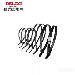 德力西电气 CDS扎带 自锁式尼龙扎带 5×250黑色优质型（250条） DHACDS50250BN